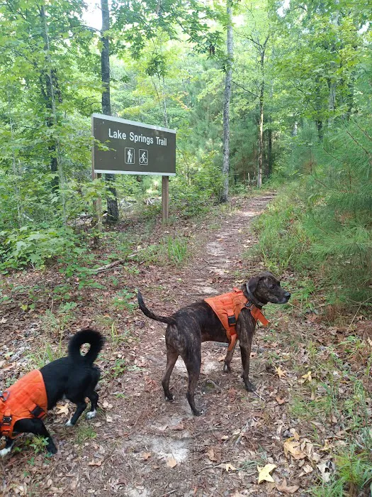 LAKE SPRINGS Picture 10