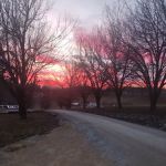 Woodview Mobile Residential Park