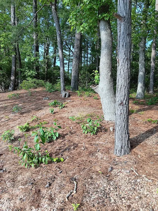 Ridge Road Campground Picture 8