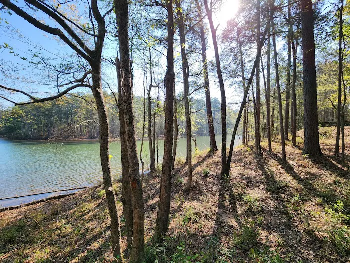 Petersburg Campground Picture 10