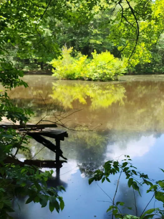 Wood Widgeon Farm Picture 4