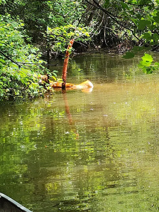 Wood Widgeon Farm Picture 1