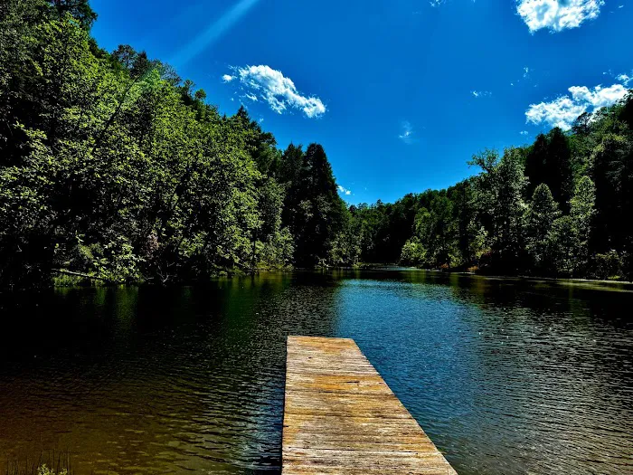 Cumberland Falls RV Resort Picture 3