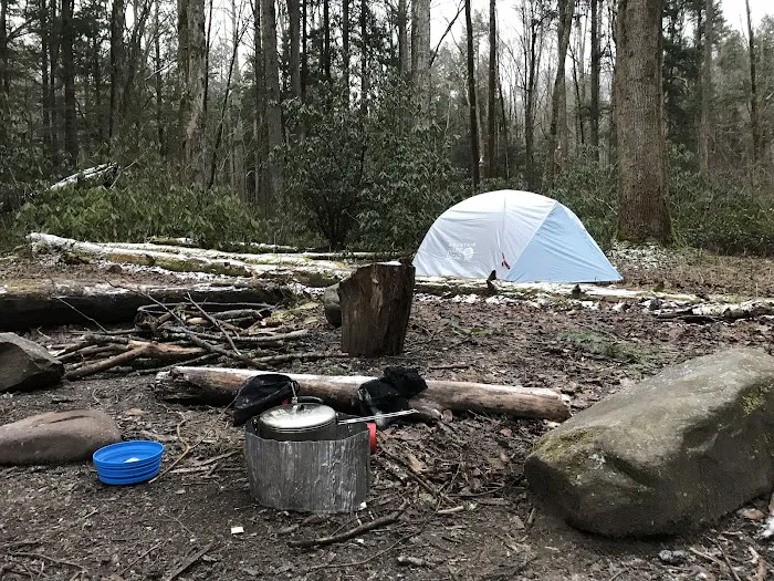 Lower Walnut Bottom Campsite 37 Picture 2