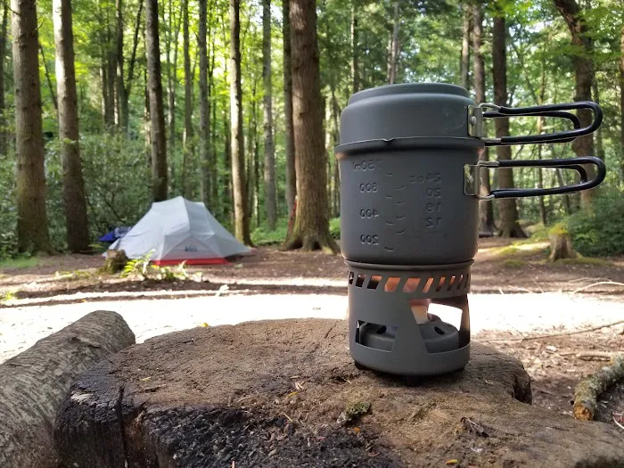 Lower Walnut Bottom Campsite 37 Picture 10