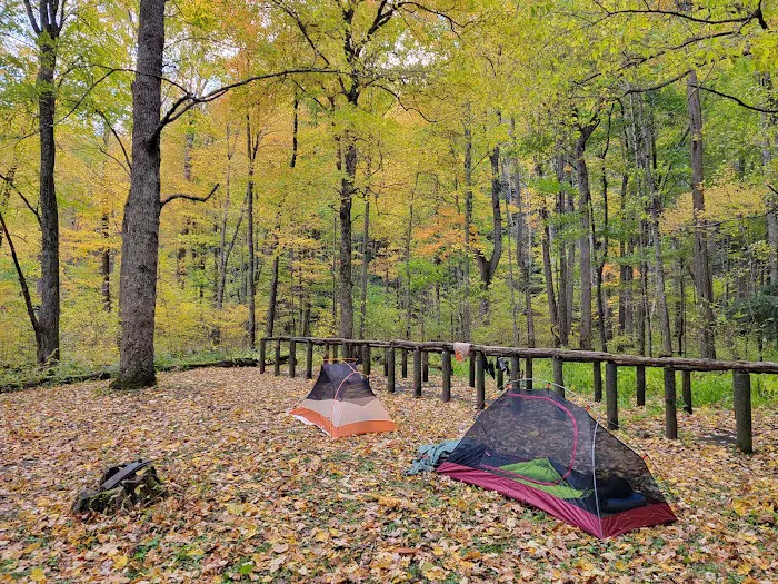 Backcountry Campsite #36 Picture 2