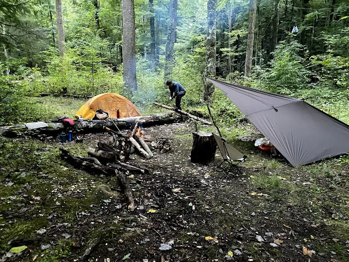 Backcountry Campsite #36 Picture 6