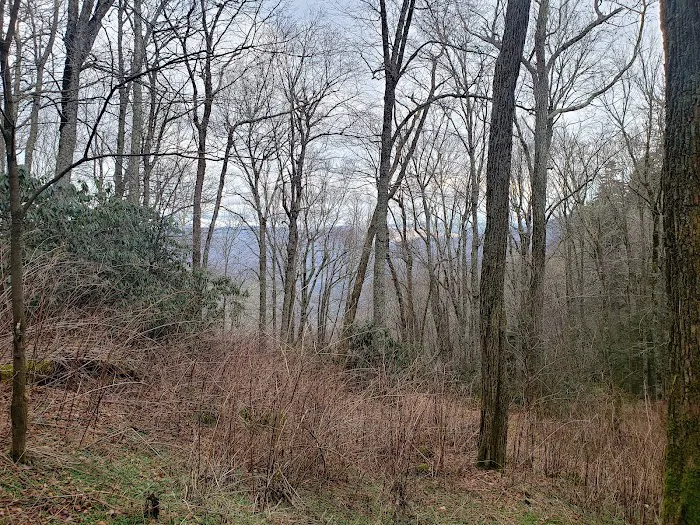 Cosby Knob Shelter Picture 5