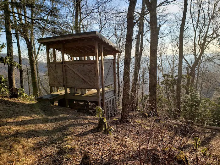 Cosby Knob Shelter Picture 2