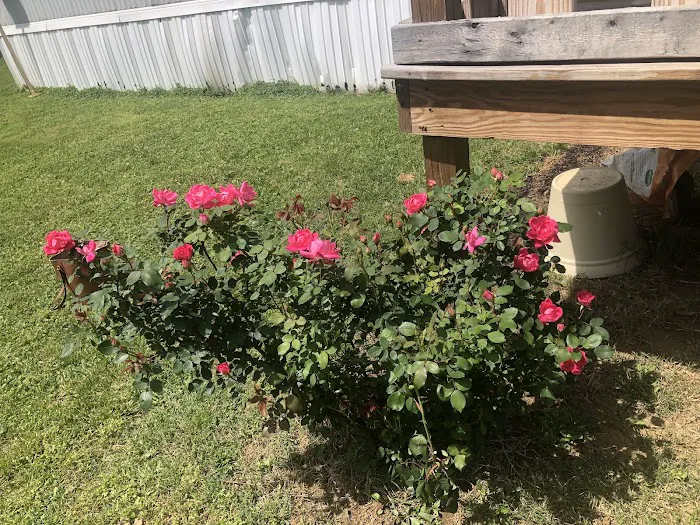 A & L Mobile Home Village Picture 8
