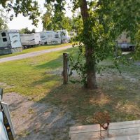 Cedar Groves RV Resort ico