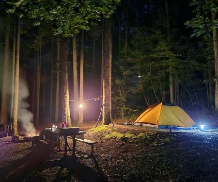 Cosby Campground