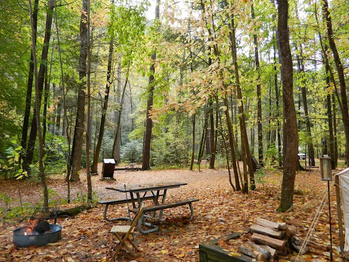 Cataloochee Campground Picture 3