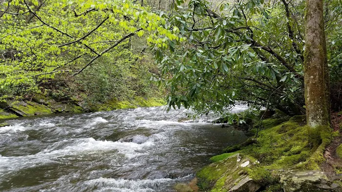 Cataloochee Campground Picture 2