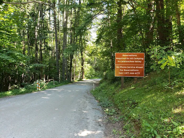 Cataloochee Campground Picture 9