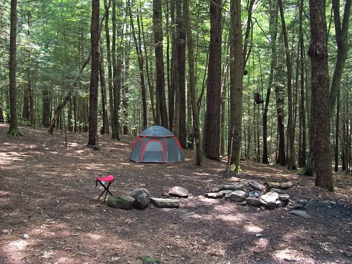 Backcountry Campsite #39 Picture 1