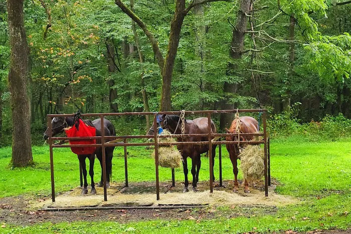 Cataloochee Horse Camp Picture 2
