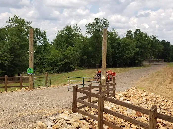 Newmor River Preserve RV Park & Cabin Rental Picture 9