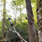 Backcountry Camp 40