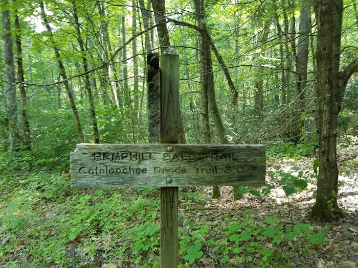 Backcountry Camp 41 Picture 2