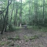 Backcountry Camp 41