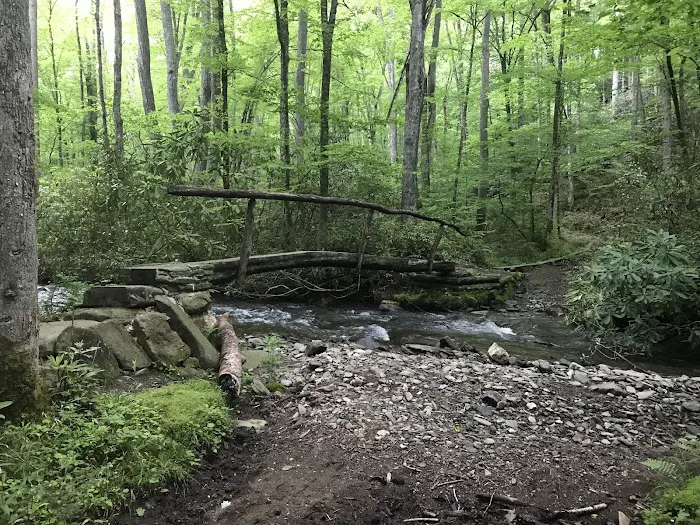 Backcountry Camp 41 Picture 3