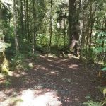 Backcountry Camp 42