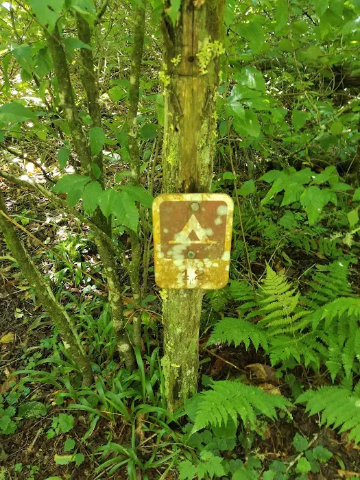 Backcountry Camp 42 Picture 4