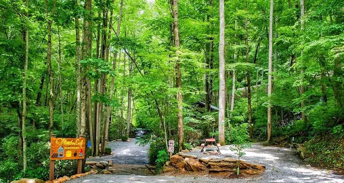 Moonshine Creek Campground Picture 8