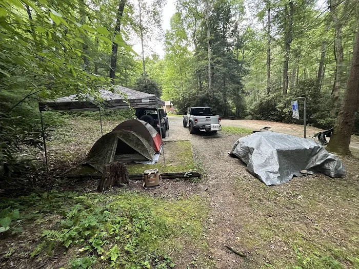 #1 Ammons Branch Campground Picture 3