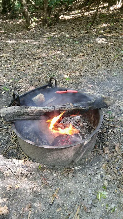 #1 Ammons Branch Campground Picture 2