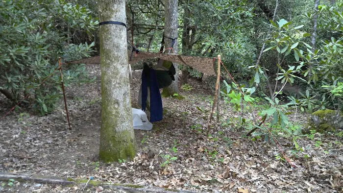 #1 Ammons Branch Campground Picture 5