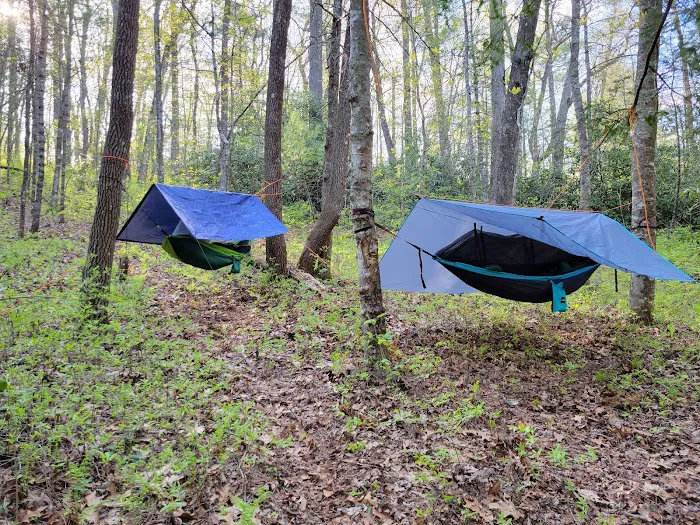 #1 Ammons Branch Campground Picture 9
