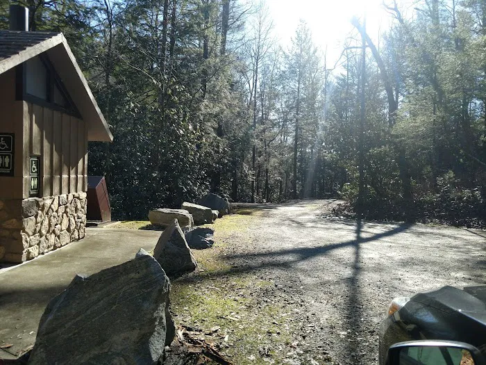#1 Ammons Branch Campground Picture 7
