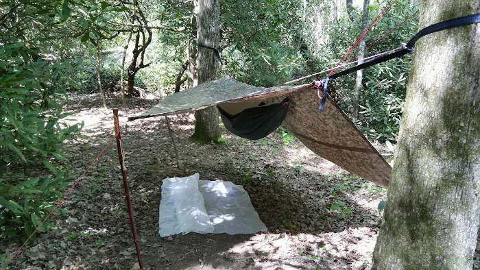 #1 Ammons Branch Campground Picture 8