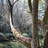 West Fork Campground ico