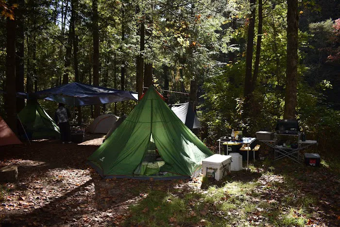 West Fork Campground Picture 2