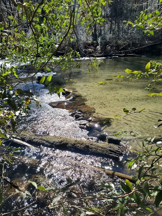 West Fork Campground Picture 9