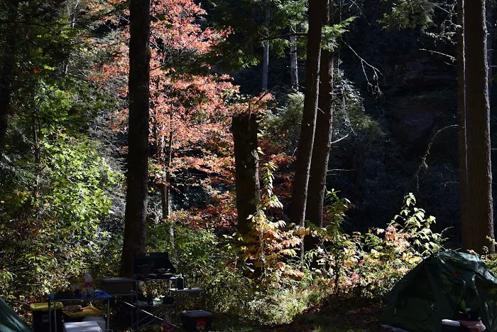 West Fork Campground Picture 6