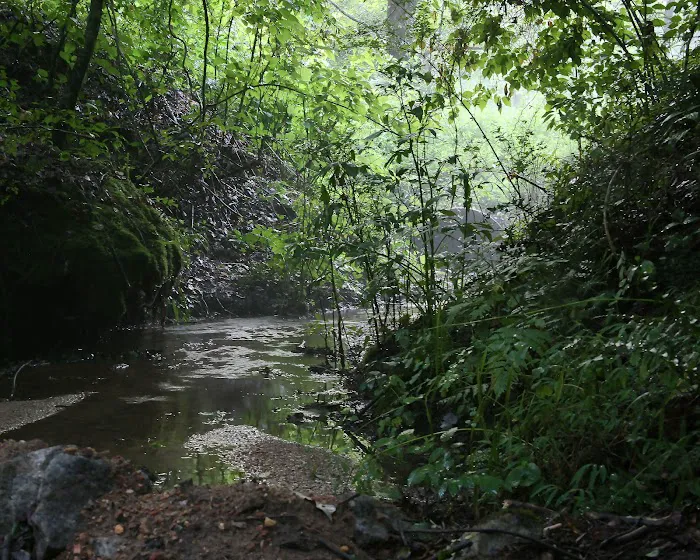 Low Water Campground Picture 9
