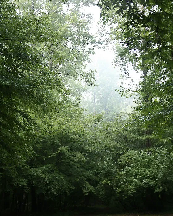 Low Water Campground Picture 6