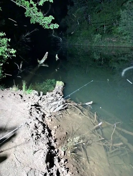Low Water Campground Picture 4