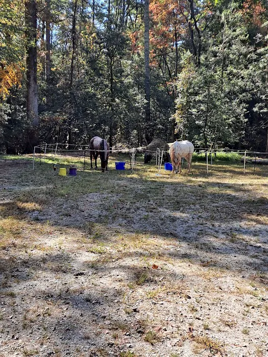 Willis Knob Horse Campground Picture 2