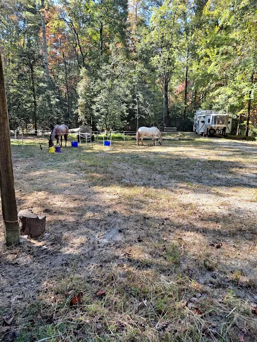 Willis Knob Horse Campground Picture 5