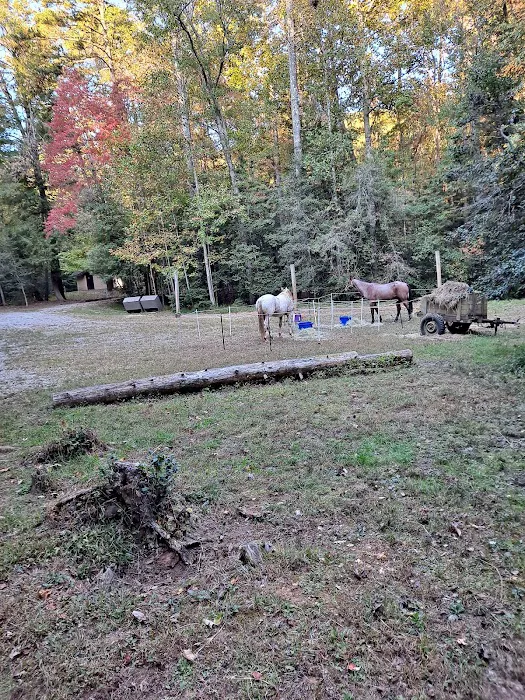 Willis Knob Horse Campground Picture 6
