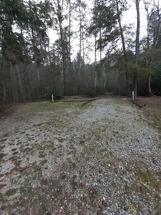 Willis Knob Horse Campground Picture 4