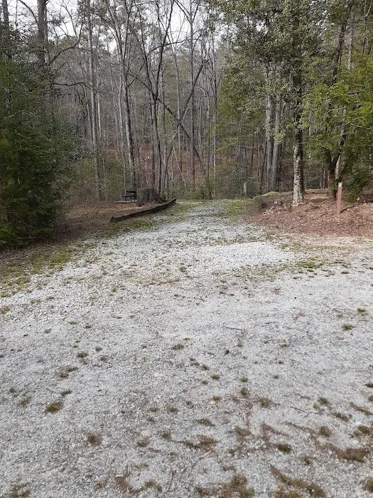 Willis Knob Horse Campground Picture 9