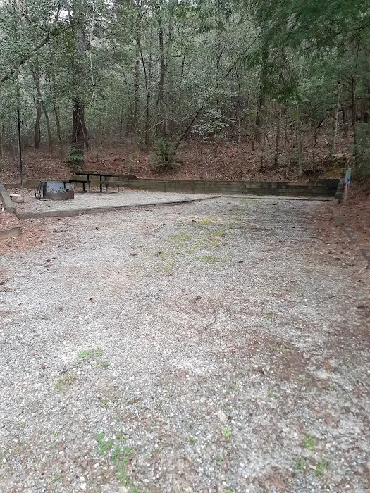 Willis Knob Horse Campground Picture 8