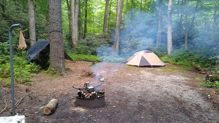 Blue Valley Roadside Camping Picture 3