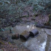 Blue Valley Roadside Camping ico